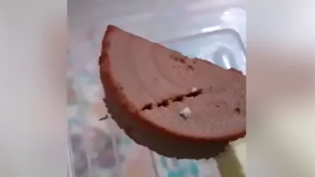 Pâine cu pateu cu VIERMI la cină la Spitalul de Copii din Cluj VIDEO