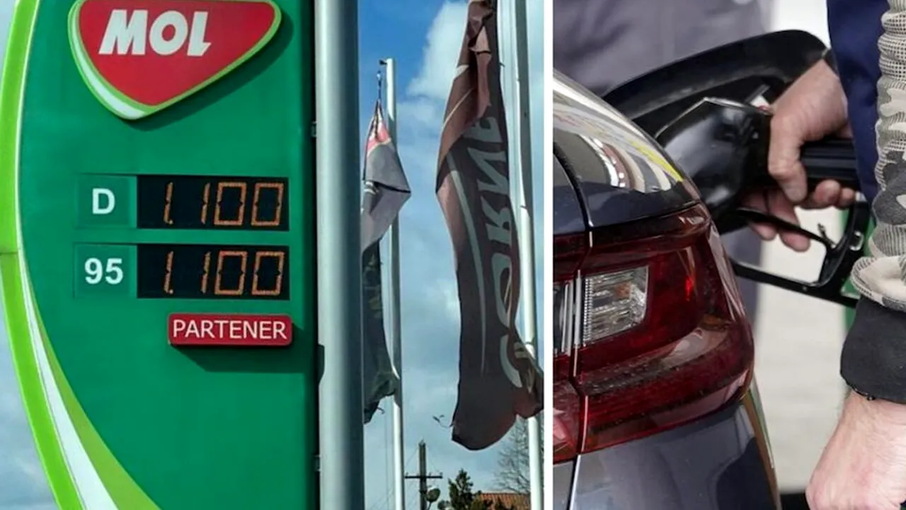 Am întrebat Inteligența Artificială: La ce preț maxim ar putea ajunge carburanții în România? Și pe ce dată?