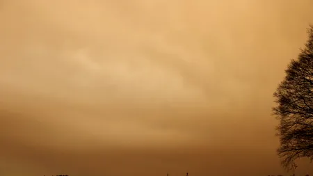 PRAFUL saharian s-a făcut simțit în România. Cum și-au găsit șoferii mașinile în această dimineață (FOTO)