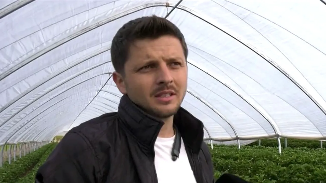 Fructele cu care un bihorean a dat LOVITURA. Un kilogram se vinde și cu 40 de lei