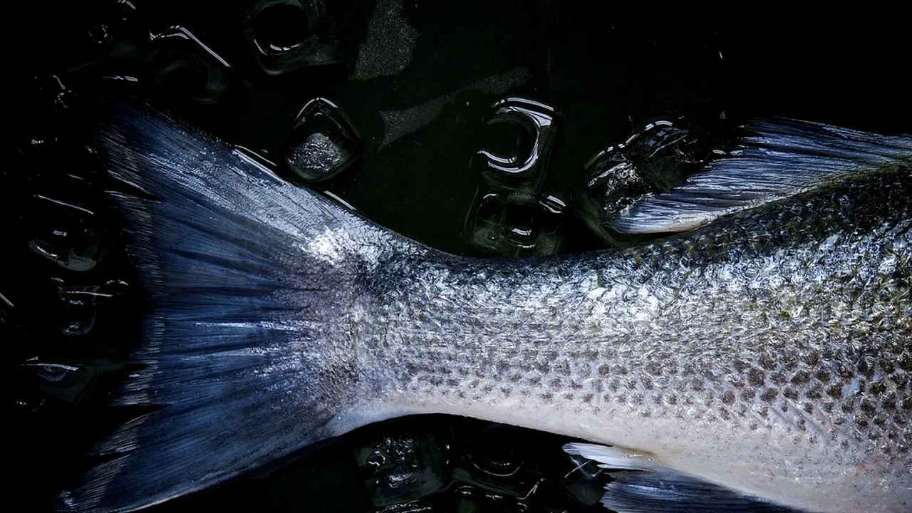 NEREGULI. Pește decongelat și apă minerală preambalată, găsite de inspectorii OPC la magazine în Slobozia