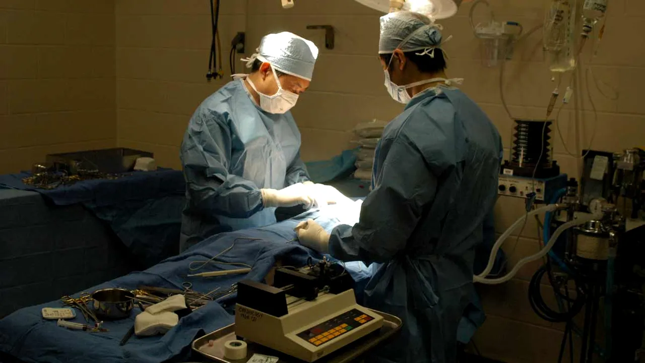 Portretul unui chirurg de transplant de succes: 