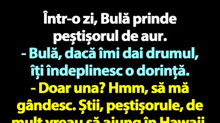 BANC | Bulă, peștișorul de aur și podul până în Hawaii