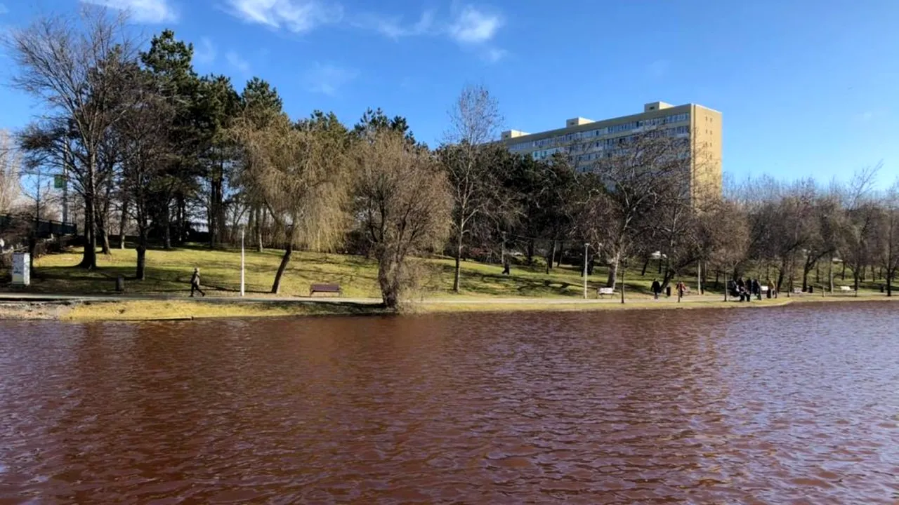 Lacul IOR, poluat cu fecale! Fundația Eco Civica lansează acuze grave (Galerie FOTO)