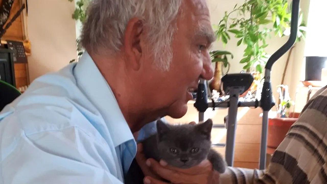 Antrenorul de genii nu crede în pandemie! Profesorul Colceag: „Trăim o psihoză și cifrele sunt false”