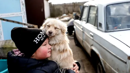LIVE UPDATE | Ziua 311 de război: Ucrainenii apără pozițiile din Donbas. Rusia a pierdut până în prezent peste 100.000 de soldați