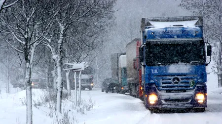 Autoritățile bulgare au oprit intrarea tuturor vehiculelor prin punctele de frontieră Giurgiu și Vama Veche 