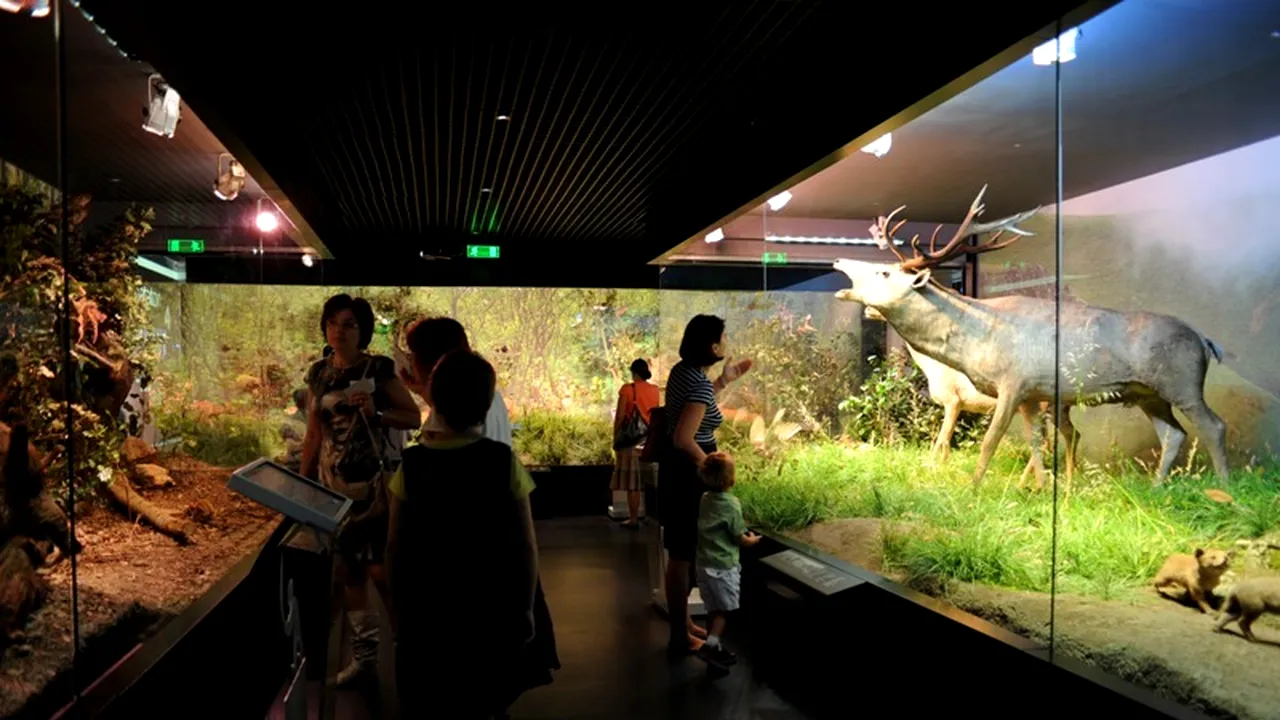 Antipa, vedeta Nopții Muzeelor; mii de oameni se îmbulzesc în fața instituției muzeale