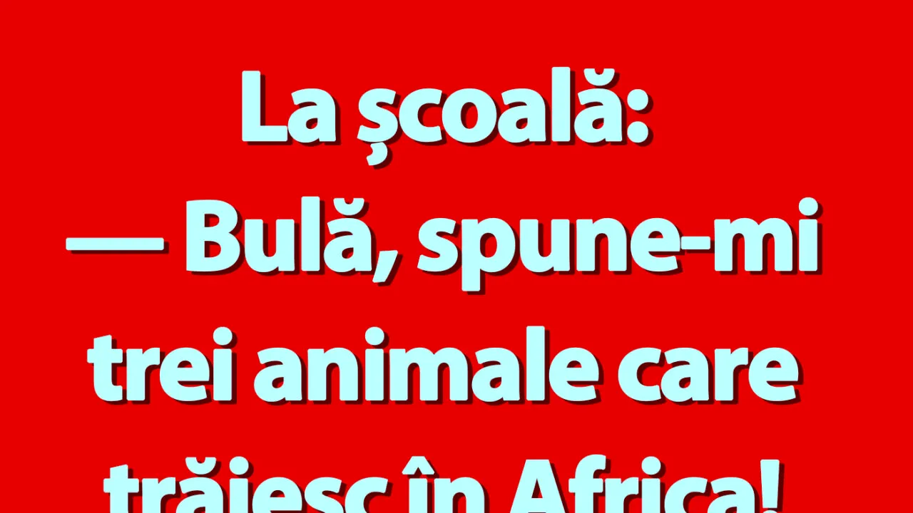 BANC | „Bulă, spune-mi trei animale care trăiesc în Africa!”