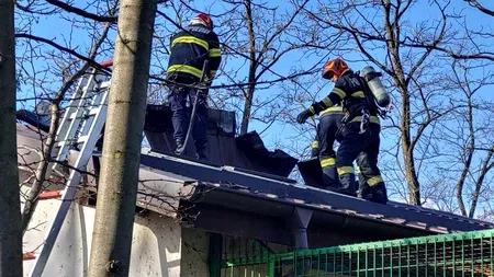 Incendiu la Grădina Zoologică din Râmnicu Vâlcea. Mai multe maimuțe au fost evacuate