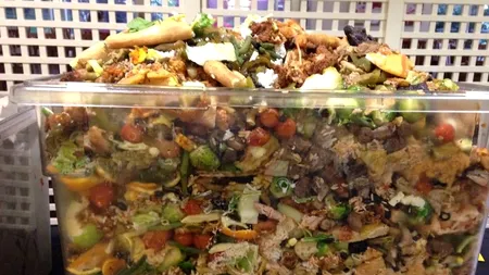 Anual, cetățenii americani aruncă mâncare în valoare de 240 miliarde de dolari. Românii aruncă 6.000 de tone de alimente, zilnic