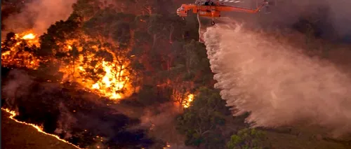 Situație dramatică. Fumul degajat de incendiile din Australia a ajuns în Argentina și Chile