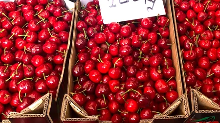 Cât costă un kilogram de cireşe din Grecia. Oamenii au rămas uluiți