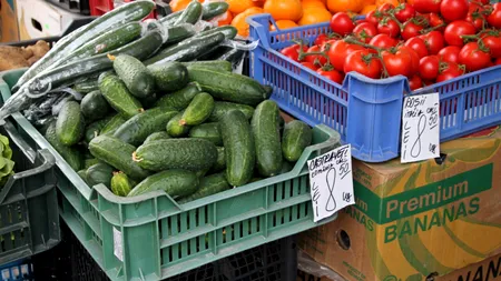 Procurorii buzoieni au rezolvat cazul: castraveții crescuți cu SUBSTANȚE pentru forțarea coacerii sunt neconformi