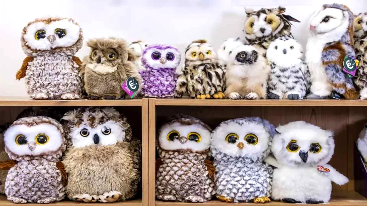 Iluzie optică VIRALĂ | Care dintre aceste bufnițe este REALĂ? Atenție la toate detaliile!