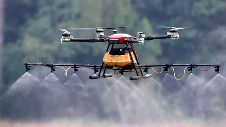 PESTICIDELE și agricultura intensivă | Un bine în rău sau un rău în bine?