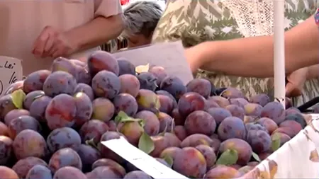 PRUNELE uriașe fac senzație în piețele din România. Un singur fruct cântărește chiar și peste 100 de grame, atrăgându-i pe clienți