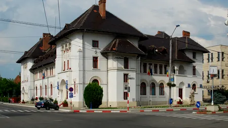 Cum arată cel mai scump brad din România. Primăria Târgu-Jiu a plătit pe el peste 100.000 de euro 