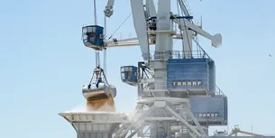 8,1 milioane de tone de CEREALE ucrainene, expediate anul acesta prin portul din Constanța. Ritmul de transport a încetinit semnificativ