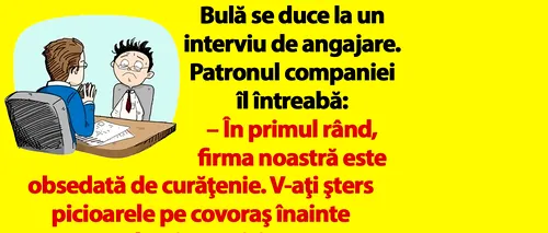 BANC | Bulă se duce la un interviu de angajare: „V-aţi şters picioarele pe covoraş înainte de a intra aici?