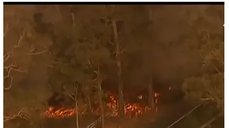 Sisteme de acvacultură, mai vechi ca piramidele egiptene, descoperit după incendiile din Australia