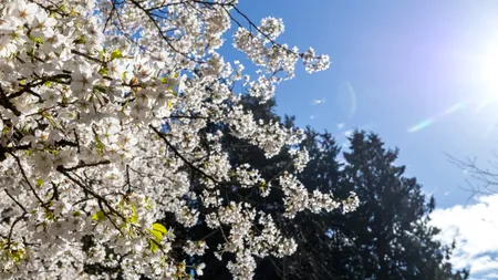 Vremea până în aprilie 2026. ANM anunță temperaturi mai ridicate decât normalul perioadei, în România