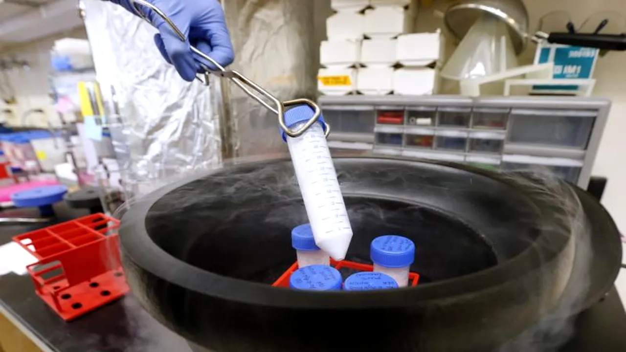 Noul instrument de luptă contra unor maladii precum Ebola