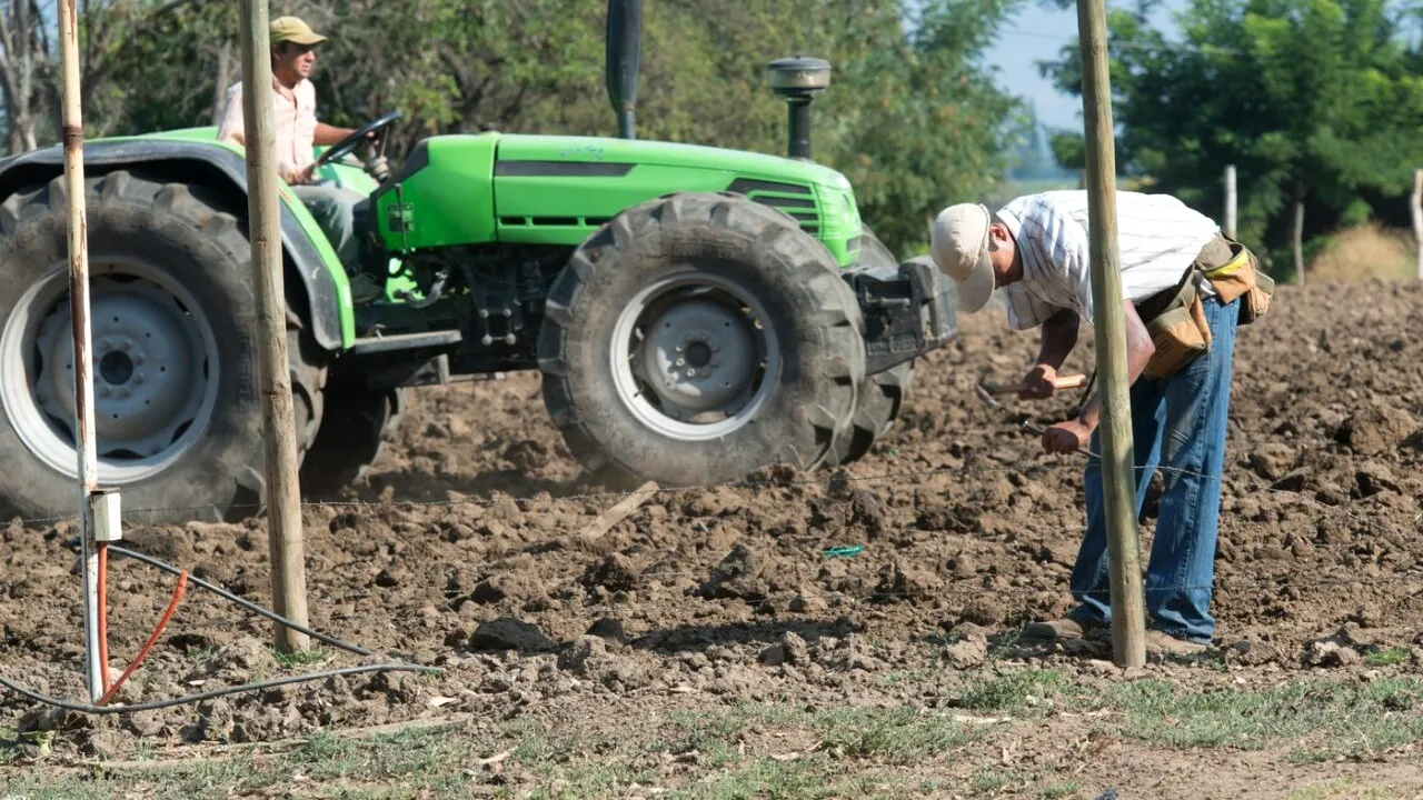 Cât costă și trebuie să faci pentru a trece un TEREN agricol din extravilan în intravilan în 2025?