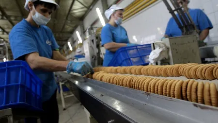Galerie FOTO: Cum se produc biscuiții Petit Beurre la fabrica din Bragadiru