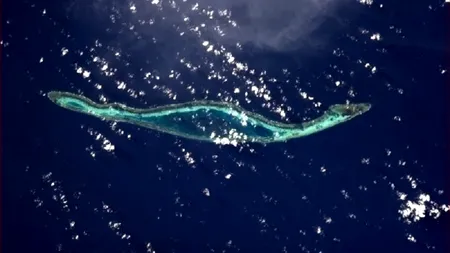 Surpriza din largul mării: un canadian a făcut o fotografie extraordinară