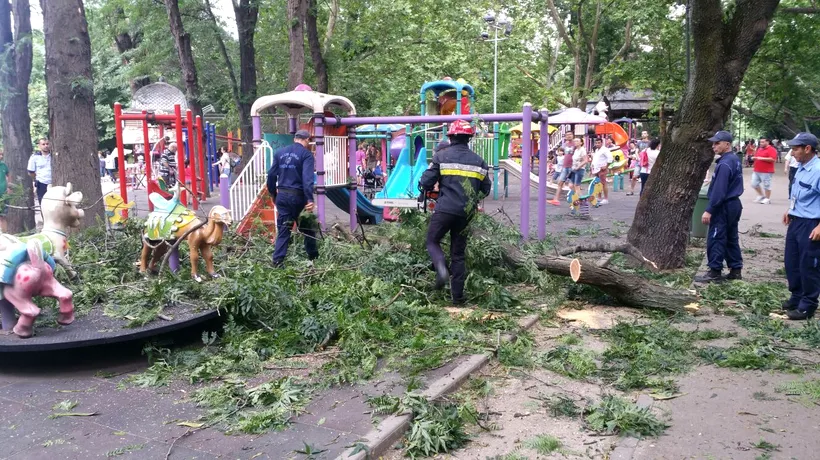 Copii răniți în Parcul Cișmigiu, după ce o creangă a căzut peste un loc de joacă. GALERIE FOTO