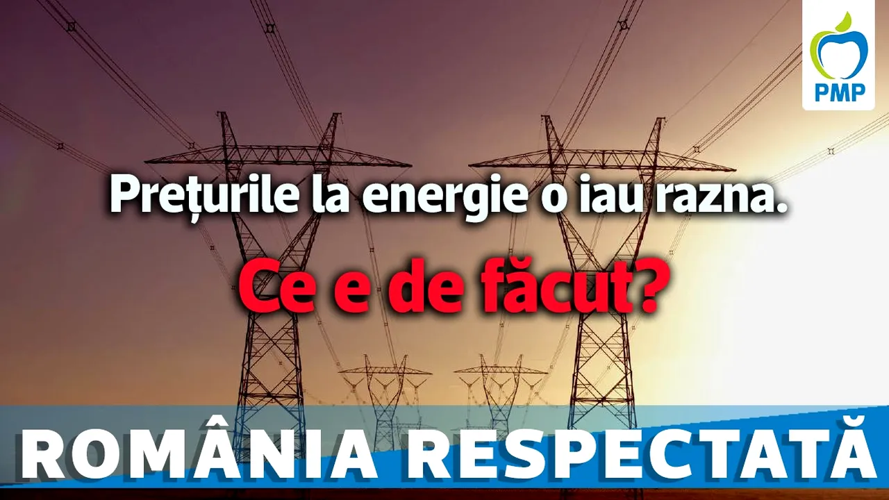 PMP: ”Guvernul ne-a lăsat pe mâna samsarilor de energie”
