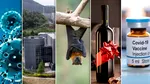 Un om de știință, acuzat că ar fi mușamalizat că virusul COVID-19 a scăpat din laboratorul din Wuhan după ce a primit cadou două sticle de vin