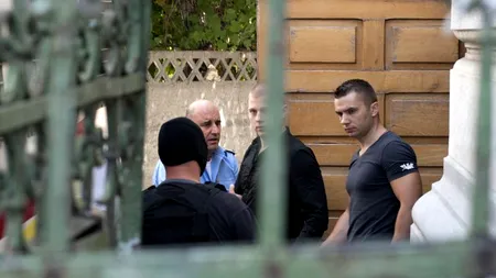 Dogaru și Darie vor fi judecați în procedură simplificată, după ce au recunoscut furtul de tablouri 