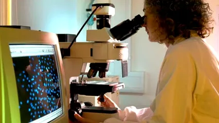 STUDIU. Existența celulelor sușă canceroase, confirmată de cercetători 