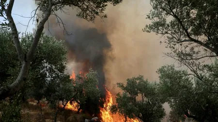 Infern în Grecia: trei pompieri au murit în incendii. Avertismentul MAE pentru români