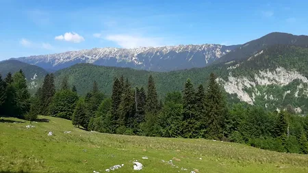 Cum va fi vremea în weekend la Sinaia, Bușteni și Predeal