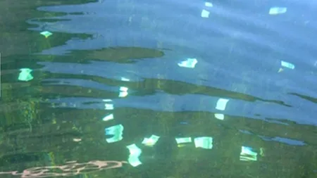 Un austriac a descoperit o avere plutind pe Dunăre și a dus-o la poliție. Ce recompensă va primi 