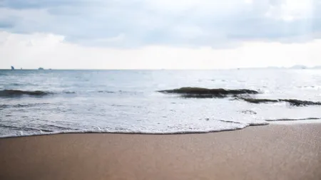 Nămolul de Techirghiol vândut pe plajele din România pentru beneficiile sale asupra sănătății nu este unul autentic. Ce conține, de fapt