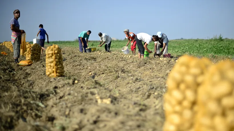 Sute de milioane de euro de la UE, pentru fermierii români, redistribuiți refugiaților