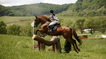 Transylvania Horse Show, primul concurs hipic internațional din România