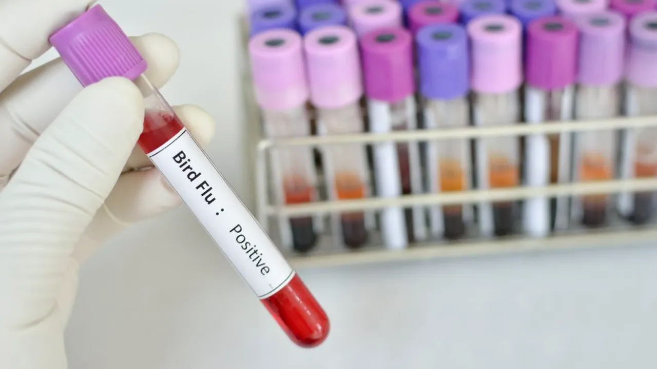 Noua tulpină de gripă aviară s-ar putea muta și transmite de la om la om! Avertismentul oamenilor de știință din Rusia