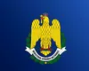 MApN avertizează că o nouă DEZINFORMARE circulă în mediul online. Aceasta vizează suspendarea anumitor drepturi salariale pentru militari