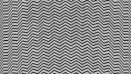 Iluzie optică virală | Doar un geniu poate vedea animalul ascuns în această fotografie