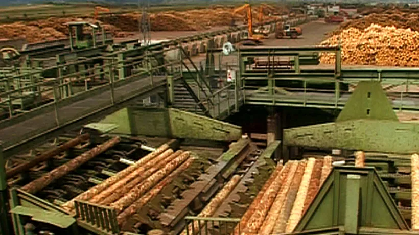 Ministrul Gavrilescu: Ministerul Mediului a declanșat un control la compania Holzindustrie Schweighofer