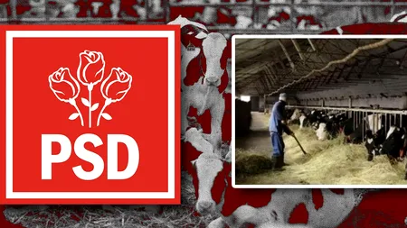 PSD alocă SUBVENȚII pentru agricultură de 2 miliarde lei / Marcel CIOLACU: Continuăm să-i sprijinim și pe agricultori