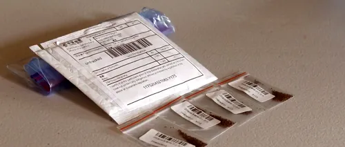 Semințe misterioase, trimise ilegal din China în mii de cutii poștale