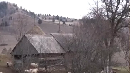 Satul din România unde mai trăiesc doar ȘAPTE oameni. Localnicii sunt disperați: „Ne mănâncă sălbăticiunile în scurtă vreme”