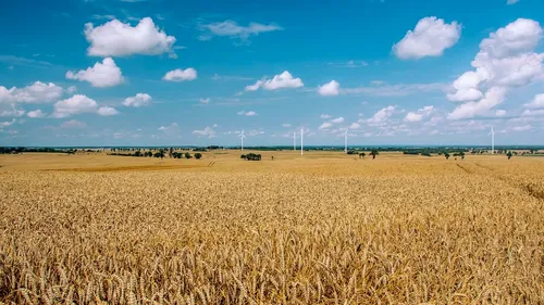 2022, un an cu agricultura măcinată de schimbări climatice