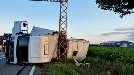 VIDEO | Mesaj Ro-Alert inedit: Locuitorii unei comune din Neamț au fost avertizați de pericolul să fie înțepați de albine după ce un camion cu stupi s-a răsturnat pe E 85